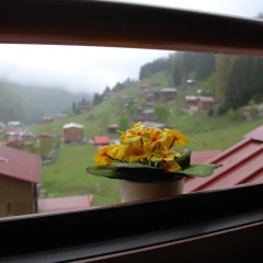 Ayder Umit Otel 3* Номер Делюкс с различными типами кроватей фото 2
