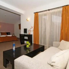 Spa Hotel Planinata комната для гостей фото 4