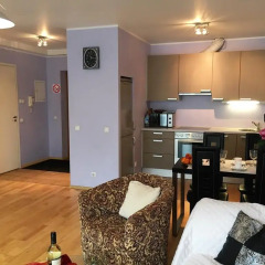 Отель Romeo Family Kaarli Apartment Эстония, Таллин - отзывы, цены и фото номеров - забронировать отель Romeo Family Kaarli Apartment онлайн в номере