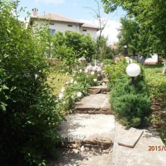 Отель Venikula Guest House 2* Стандартный номер