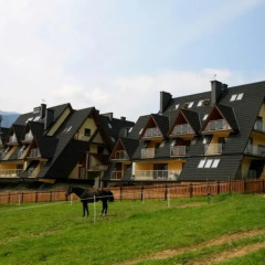 Отель Szymoszkowa Residence Resort & SPA Косцелиско детские мероприятия фото 2