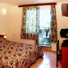 Family Hotel Orfei удобства в номере