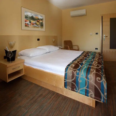 Hotel Malovec 3* Номер Комфорт с различными типами кроватей фото 9