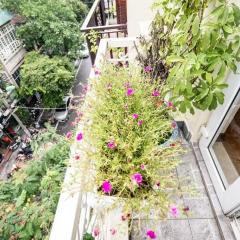Hanoi Graceful Hotel фото 3