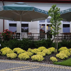 Hotel Złote Dęby фото 6