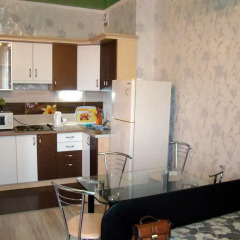 Апартаменты Uyut Apartments City Centre в номере фото 2