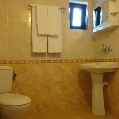 Family Hotel Diana 3* Стандартный номер с различными типами кроватей фото 3