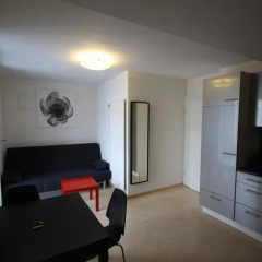 Апартаменты Letzigrund Apartments комната для гостей фото 3