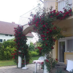 Отель Flora Villa 3* Апартаменты фото 29