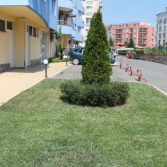 Отель Aqua Blue Apartments Болгария, Солнечный берег - отзывы, цены и фото номеров - забронировать отель Aqua Blue Apartments онлайн фото 2