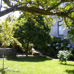 Отель Casa Das Vendas Стандартный номер с различными типами кроватей фото 20