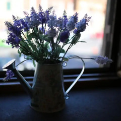 Отель Wisteria Home Остия-Антика гостиничный бар