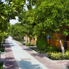 Hotel Ozlem Garden - All Inclusive фото 12