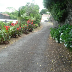 Отель Casa da Boa Vista