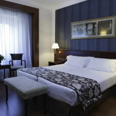 El Avenida Palace Hotel 4* Полулюкс