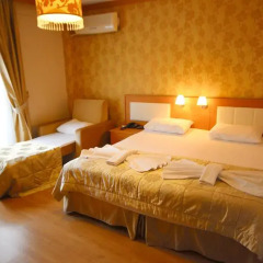 Flower Palace Hotel 3* Стандартный номер с различными типами кроватей фото 2