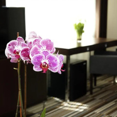 Отель City Center House Elephant 4* Номер Делюкс с различными типами кроватей