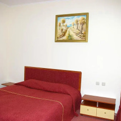 Hotel Antique 3* Номер Делюкс с различными типами кроватей фото 3