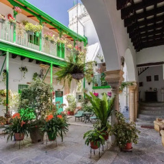 Отель Apartamentos Jerez Испания, Херес-де-ла-Фронтера - отзывы, цены и фото номеров - забронировать отель Apartamentos Jerez онлайн фото 5