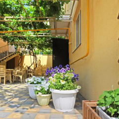 Гостиница Guest House Vinogradnaya 4 в Анапе отзывы, цены и фото номеров - забронировать гостиницу Guest House Vinogradnaya 4 онлайн Анапа фото 3