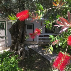 Отель Altea Beach Lodges фото 16