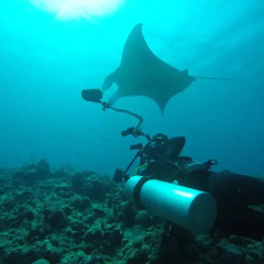 Отель Liberty Guest House Maldives бассейн