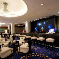 Millennium Hotel Chengdu развлечения