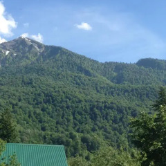 Гостиница Homestay Turchinskogo в Красной Поляне отзывы, цены и фото номеров - забронировать гостиницу Homestay Turchinskogo онлайн Красная Поляна фото 5
