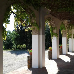 Отель Villa Albertina 3* Стандартный номер с различными типами кроватей фото 5