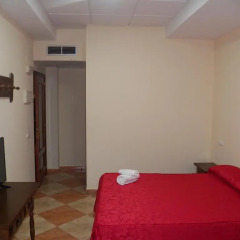 Отель Hostal San Roque Стандартный номер с разными типами кроватей фото 4