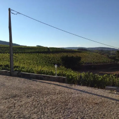 Отель Quinta dos Espinheiros фото 3