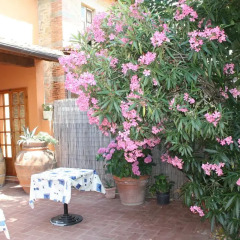 Отель B&B Il Maraviglio Реггелло помещение для мероприятий