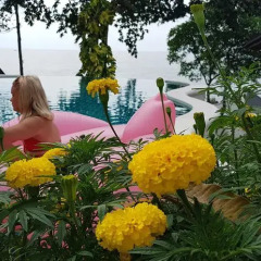 Отель Clear View Resort детские мероприятия фото 2