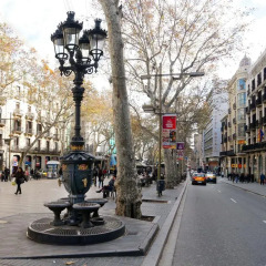 Отель Royal Ramblas Испания, Барселона - 2 отзыва об отеле, цены и фото номеров - забронировать отель Royal Ramblas онлайн фото 4