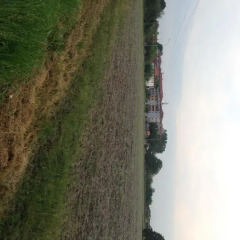 Отель Appartamento Cascina Colombaia Базильо парковка