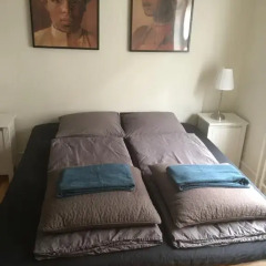 Отель Engelsted Guesthouse Дания, Копенгаген - отзывы, цены и фото номеров - забронировать отель Engelsted Guesthouse онлайн комната для гостей фото 3