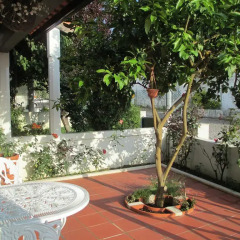 Отель Casa Do Limoeiro