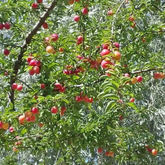 Отель Ca Angiola Кастель-д'Арио фото 2