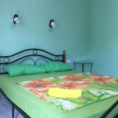 Гостиница Alpic Guest House комната для гостей фото 4