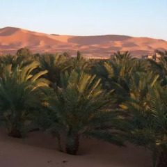 Отель Kasbah Bivouac Lahmada Марокко, Мерзуга - отзывы, цены и фото номеров - забронировать отель Kasbah Bivouac Lahmada онлайн фото 7