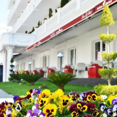 Hotel Flower & Spa Голем фото 3