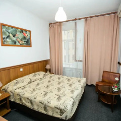 Krasny Terem Hotel 3* Номер Комфорт с различными типами кроватей