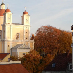 Отель Philharmonic Apartments Литва, Вильнюс - отзывы, цены и фото номеров - забронировать отель Philharmonic Apartments онлайн балкон