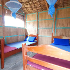 Отель Pariango Beach Motel 2* Стандартный номер с 2 отдельными кроватями (общая ванная комната) фото 3