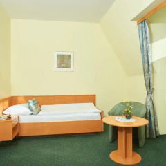 Отель Pension Sprinzl 3* Стандартный номер фото 2
