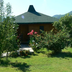 Отель Cirali Almira Bungalow 2* Бунгало с различными типами кроватей фото 13