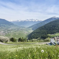 Отель Alpin & Relax Hotel das Gerstl Италия, Горнолыжный курорт Ортлер - отзывы, цены и фото номеров - забронировать отель Alpin & Relax Hotel das Gerstl онлайн фото 3