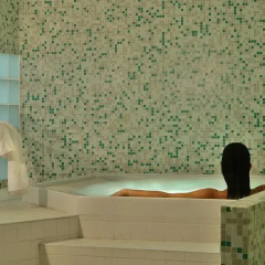 Отель Sana Lisboa Hotel Португалия, Лиссабон - 3 отзыва об отеле, цены и фото номеров - забронировать отель Sana Lisboa Hotel онлайн сауна