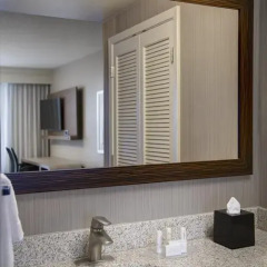 Отель Courtyard by Marriott New Orleans Downtown/Convention Center США, Новый Орлеан - отзывы, цены и фото номеров - забронировать отель Courtyard by Marriott New Orleans Downtown/Convention Center онлайн ванная