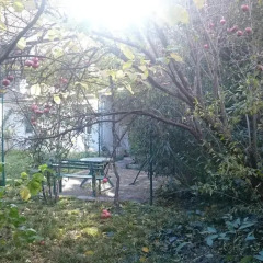 Отель Nika Guest house